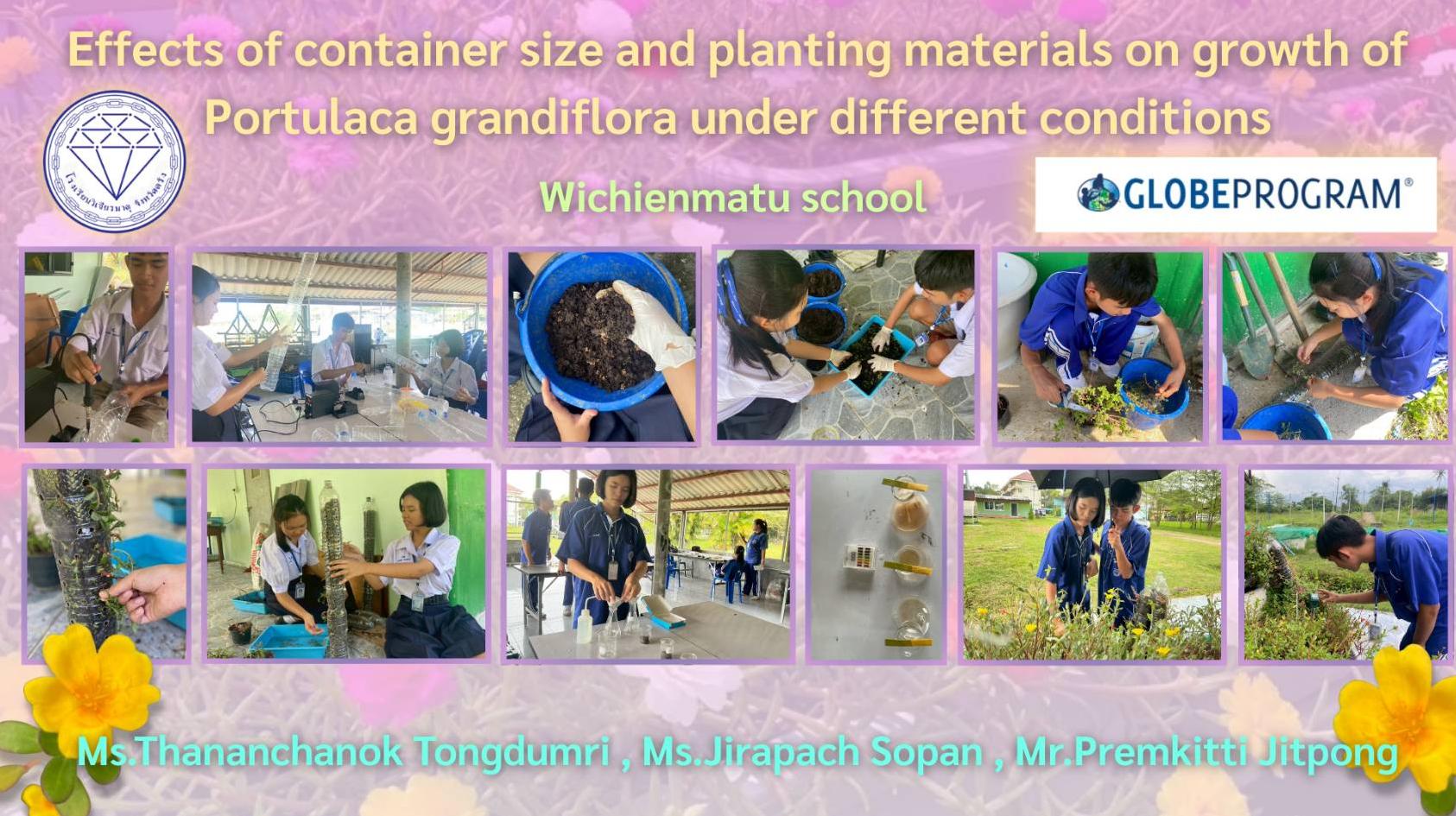 This study was conducted by preparing containers and Moss Rose plants of equal size, before planting them in two different shapes and sizes of containers for a period of 2 months. Soil samples were randomly collected for quality analysis of moisture, pH, NPK nutrient content, temperature, and soil structure every week for a total of 5 times, with 3 replicates per session. Additionally, growth was monitored by measuring height, stem size, and the number of leaves every 2 weeks.
