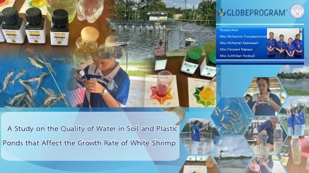 Study of Water Quality and Shrimp in Shrimp Ponds Conducted a study of water quality in shrimp ponds by measuring water quality parameters according to GLOBE protocols: pH, dissolved oxygen, ammonia, alkalinity, and nitrite. Conducted a study of the growth of whiteleg shrimp (Litopenaeus vannamei) by measuring the weight, length, and size of the shrimp after farming in different ponds